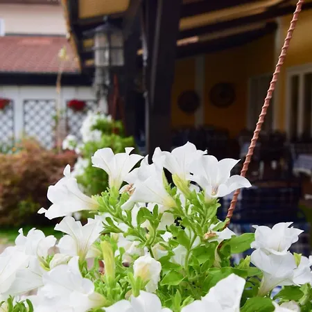 Kasperle بيت ريفي